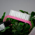 Cepillo para limpieza de uñas.